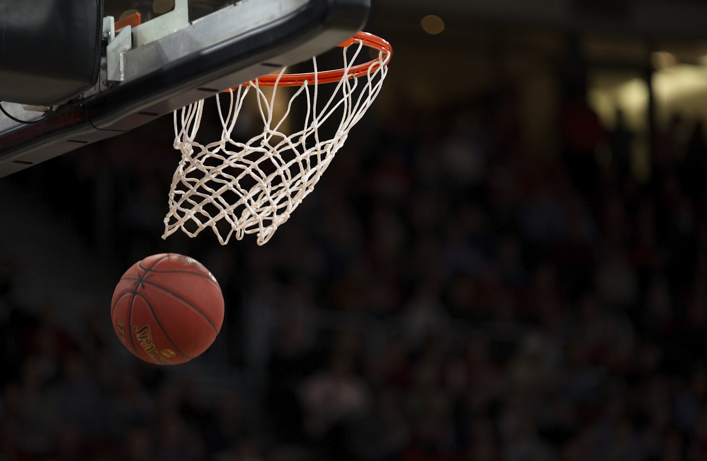 Arena NBA vue des gradins